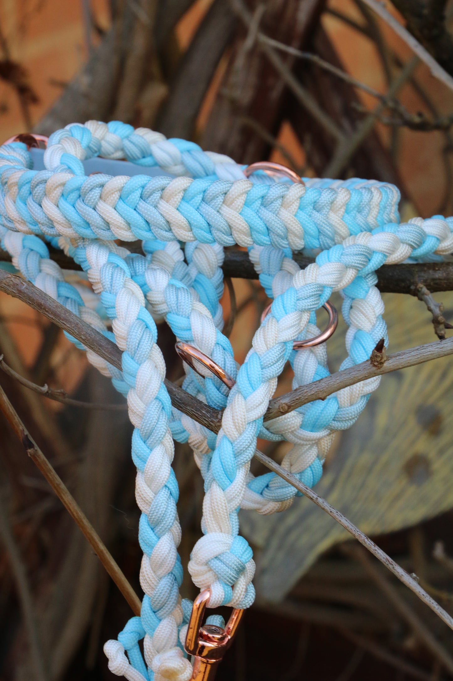 Cleo‘s - Soft Meadow