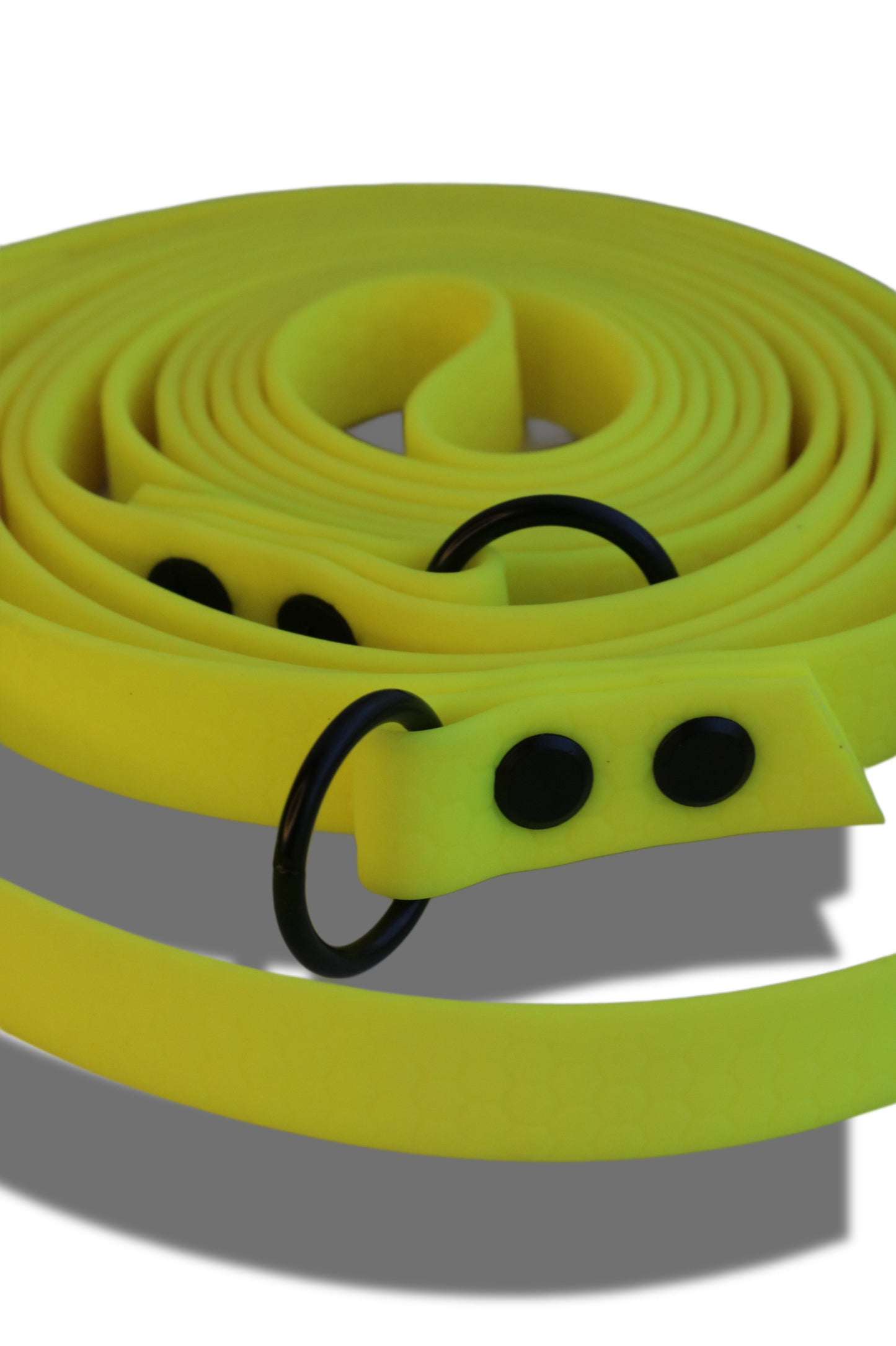 Hexa Gurtband Hundeleine Fest-verstellbar