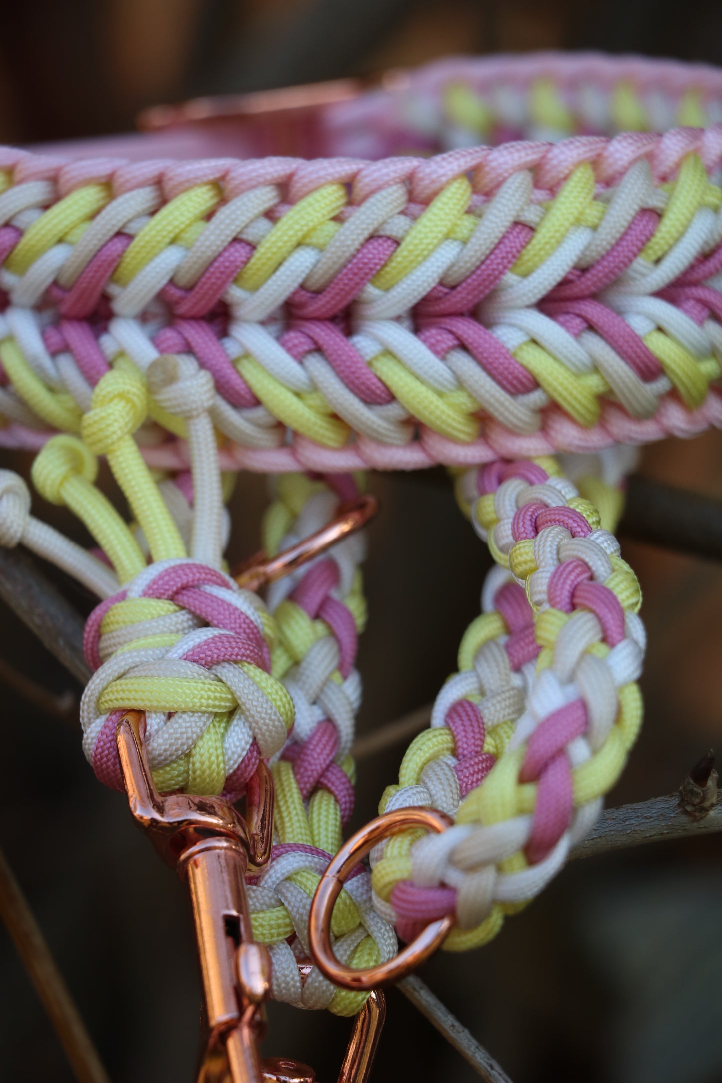 Mimi‘s - Golden Daisy