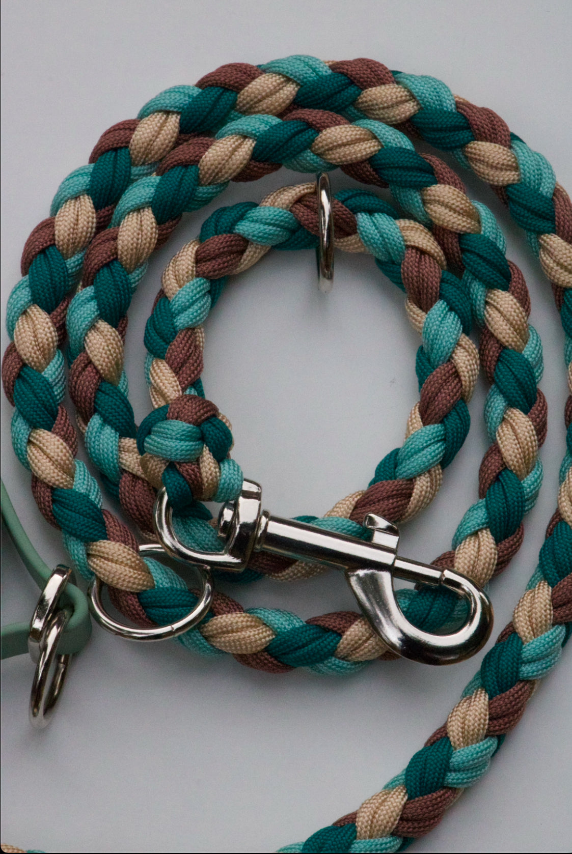 50/50 Paracord x Biothane Hundeleine