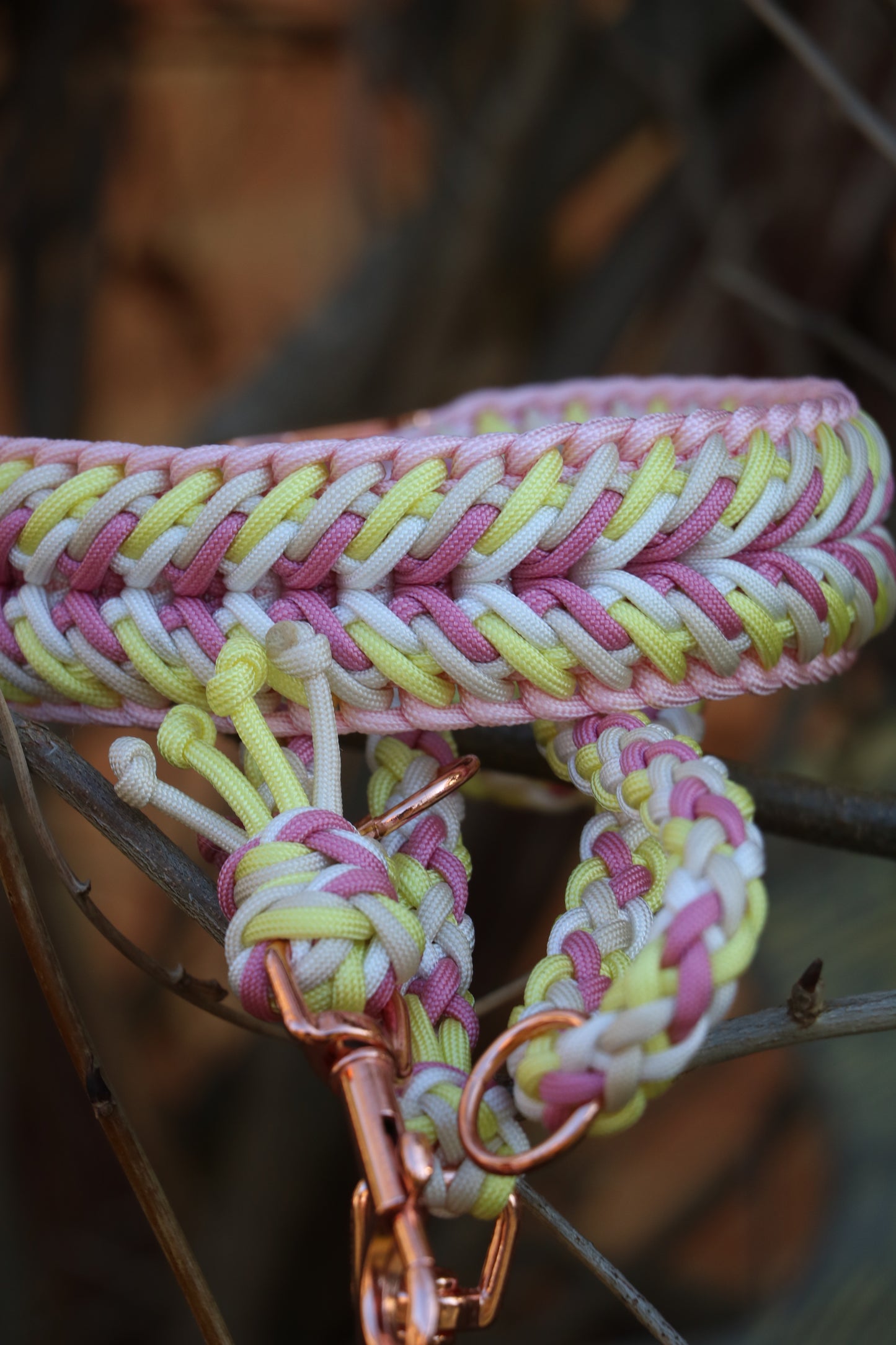 Mimi‘s - Golden Daisy