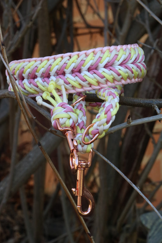 Mimi‘s - Golden Daisy