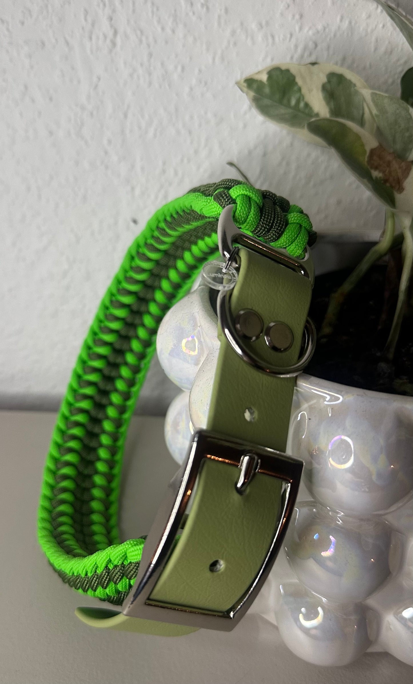 Sofortkauf Halsband 4