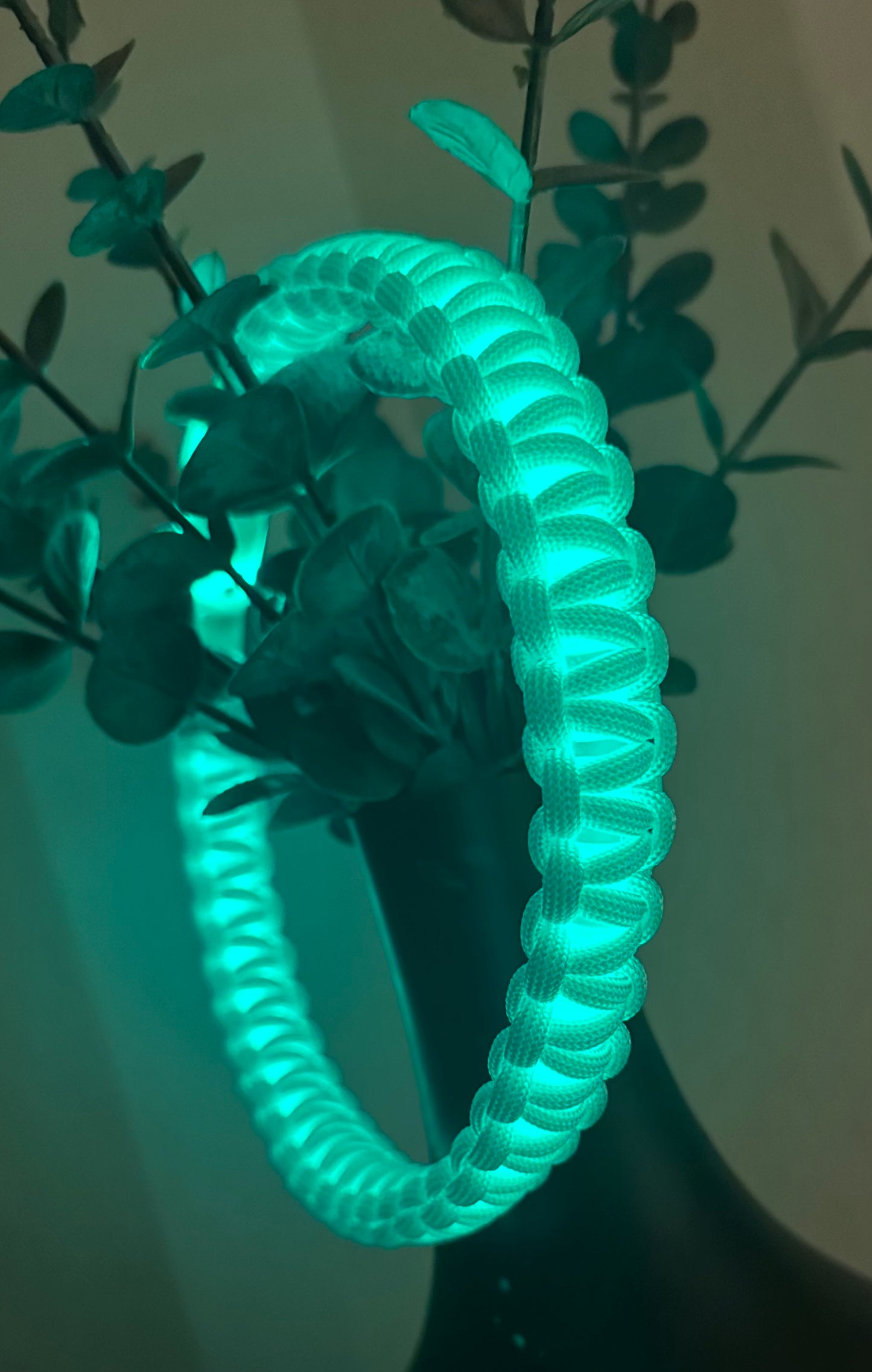 Leuchthalsband Luminou