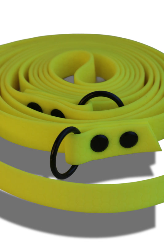 Hexa Gurtband Hundeleine Fest-verstellbar