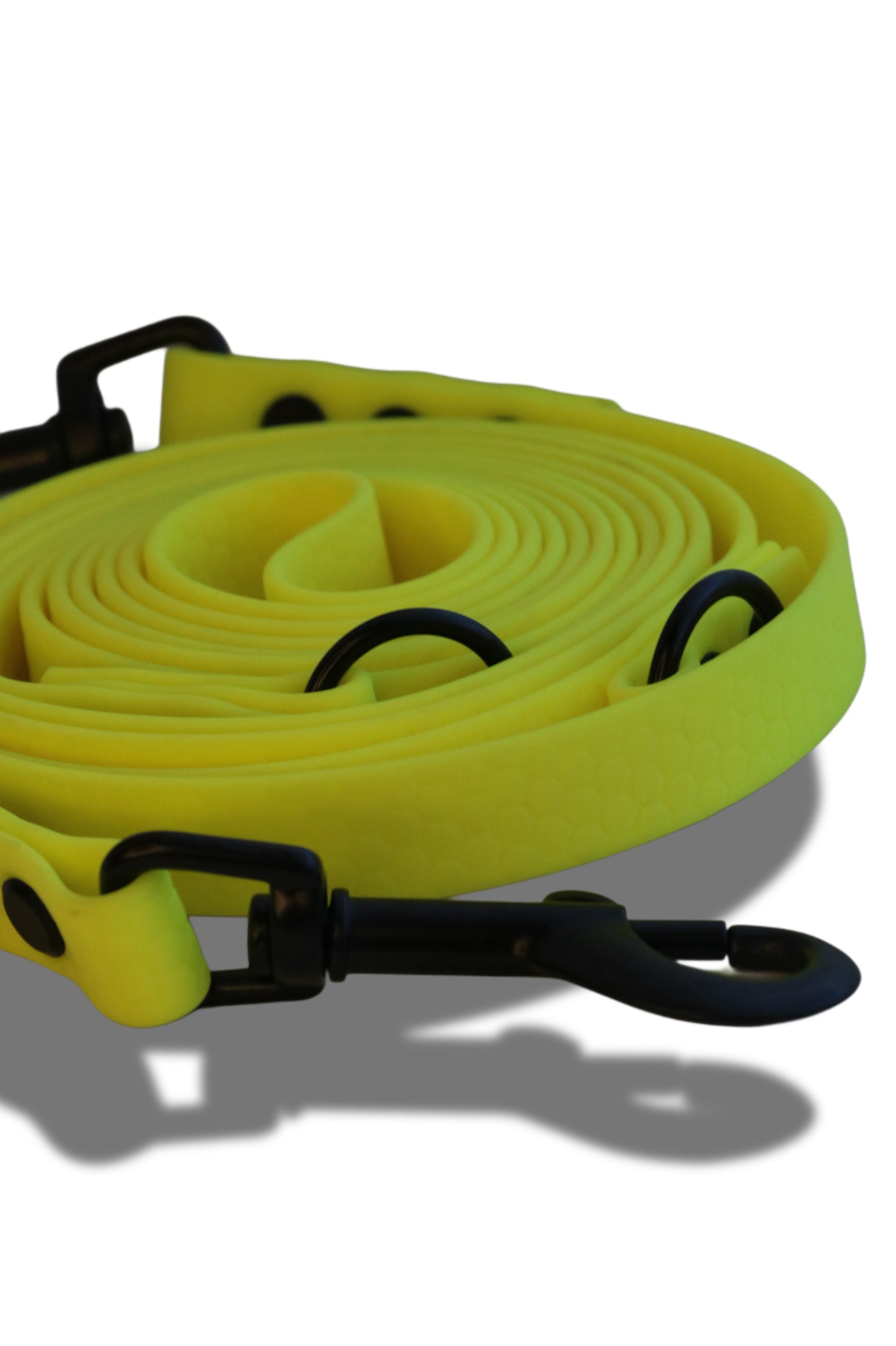 Hexa Gurtband Hundeleine Fest-verstellbar