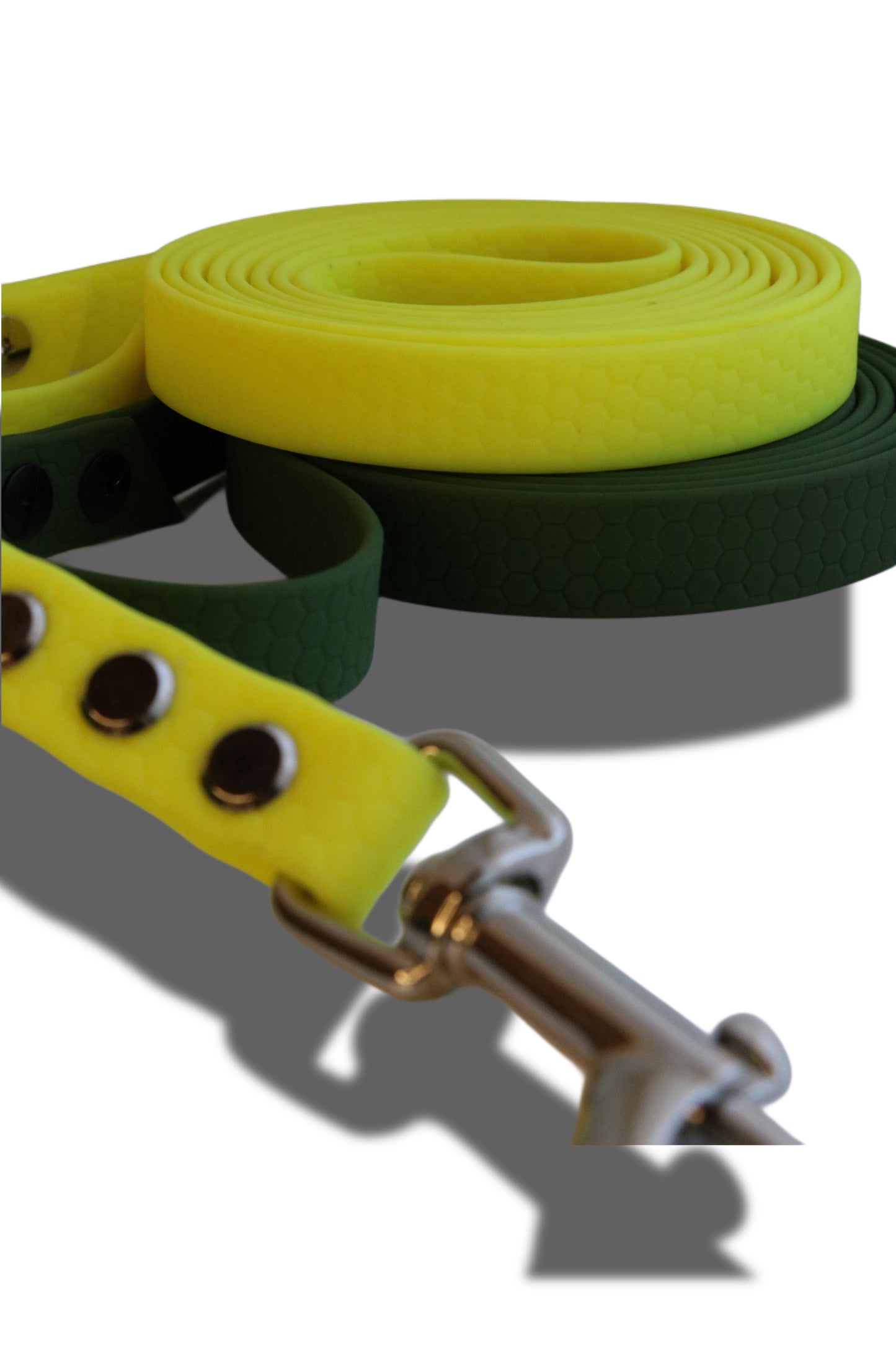 Hexa Gurtband Hundeleine individuell verstellbar